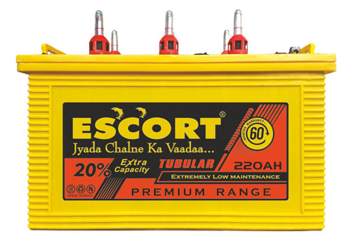 escort-Gold-220-Inverter-Battery